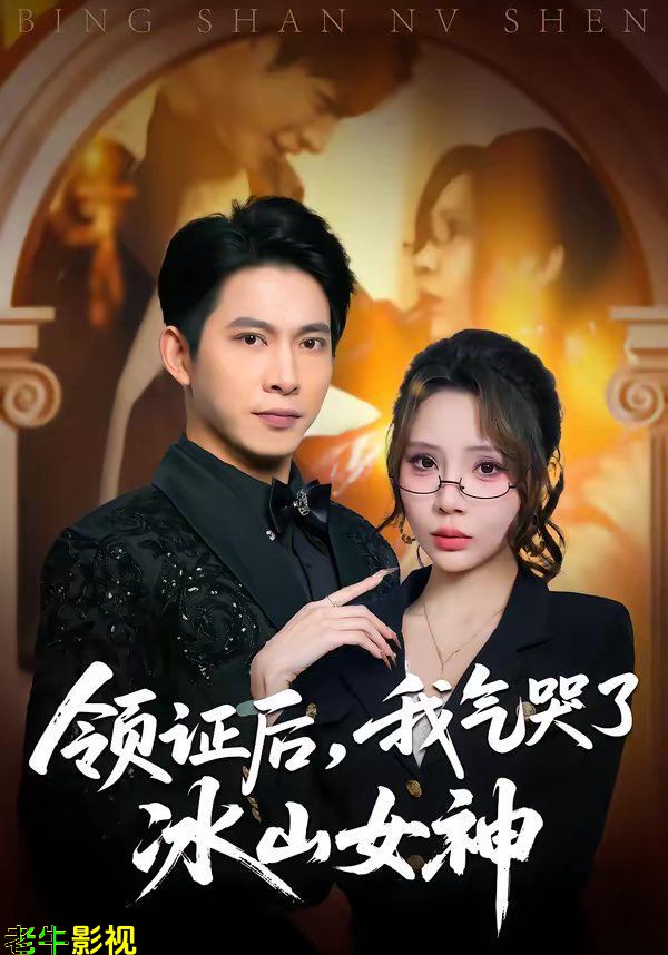 领证后，我气哭了冰山女神